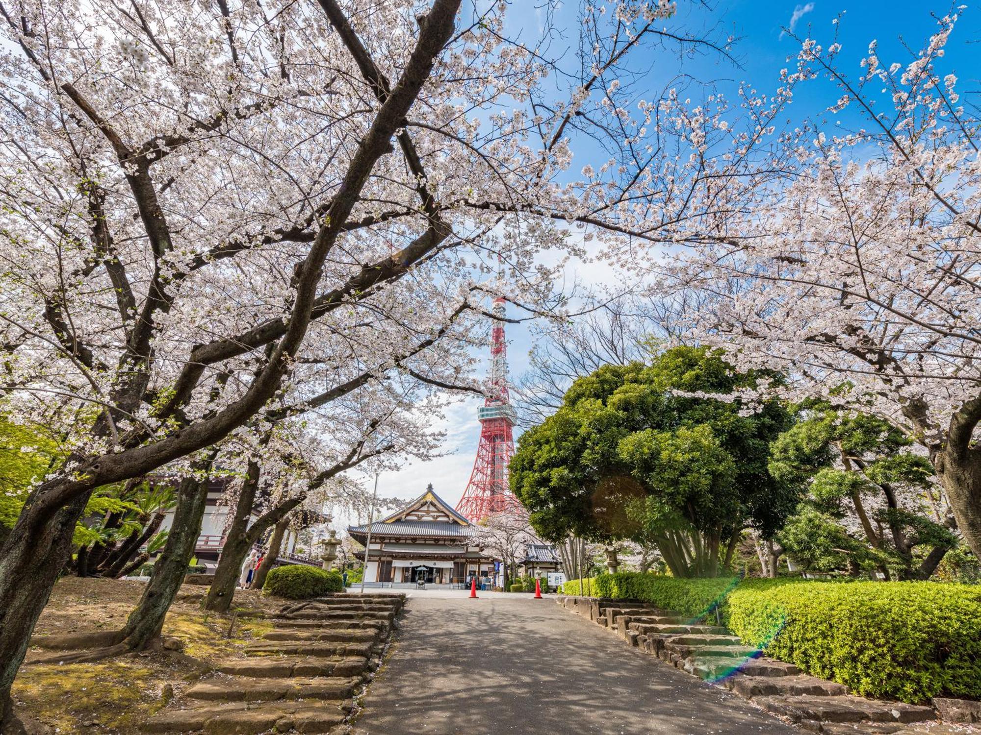Illi Surp Shiba-Park Hotell Tokyo prefektur Exteriör bild